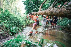 BIB: 
                            <button type="button" onclick="openModal(25515039)" class="btn btn-primary btn-sm float-right btn-popup" data-toggle="modal" data-target=".modal-high-quality">
                        <i class="fas fa-shopping-cart"></i> Add to Cart
                    </button>
                                            <button type="button" onclick="isThisMe(25515039, true)" class="btn btn-success btn-sm float-right btn-popup btn-isme hidden" data-toggle="tooltip" data-placement="bottom" title="นี่คือรูปของคุณใช่ไหม คลิกที่นี่เพื่อเอาเข้าอัลบั้ม">
                        <i class="fas fa-plus"></i> Add to album
                    </button>
                    <button type="button" onclick="isThisMe(25515039, false)" class="btn btn-warning btn-sm float-right btn-popup btn-isnotme hidden">
                        <i class="fas fa-ban"></i> Remove from album
                    </button>